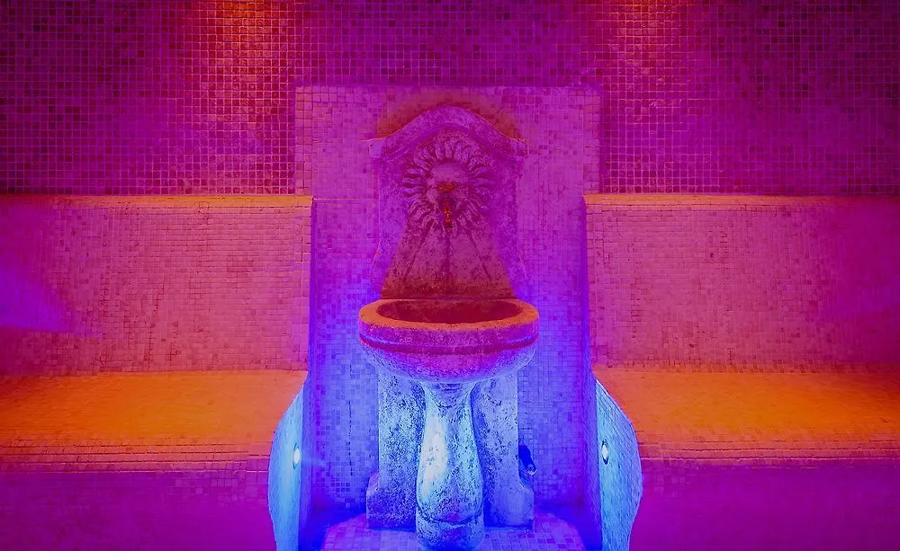 Les Saules Parc & Spa - Teritoria Vonnas France