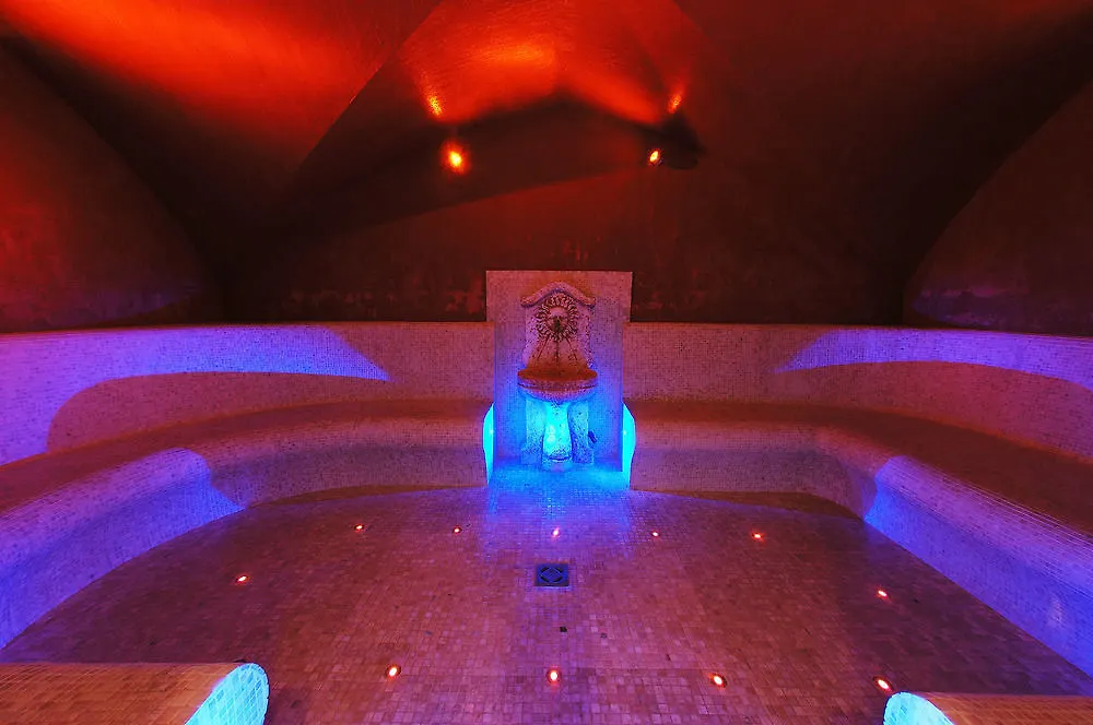 Les Saules Parc & Spa - Teritoria Vonnas 3*,